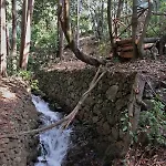 Maria Quinta 2 