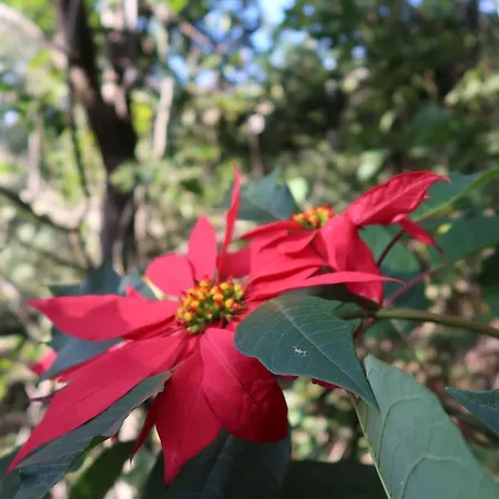 Vakantiehuis Maria Quinta 2 